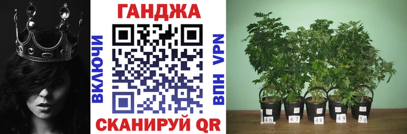 Бошки Шишки план  Красноуральск 